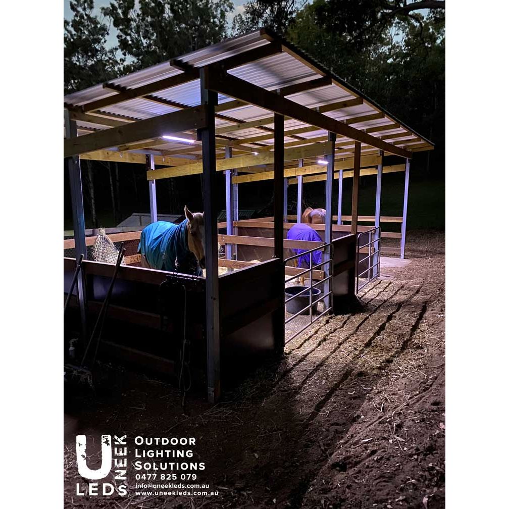 4 Horse Stable Solar LED Lighting Kit