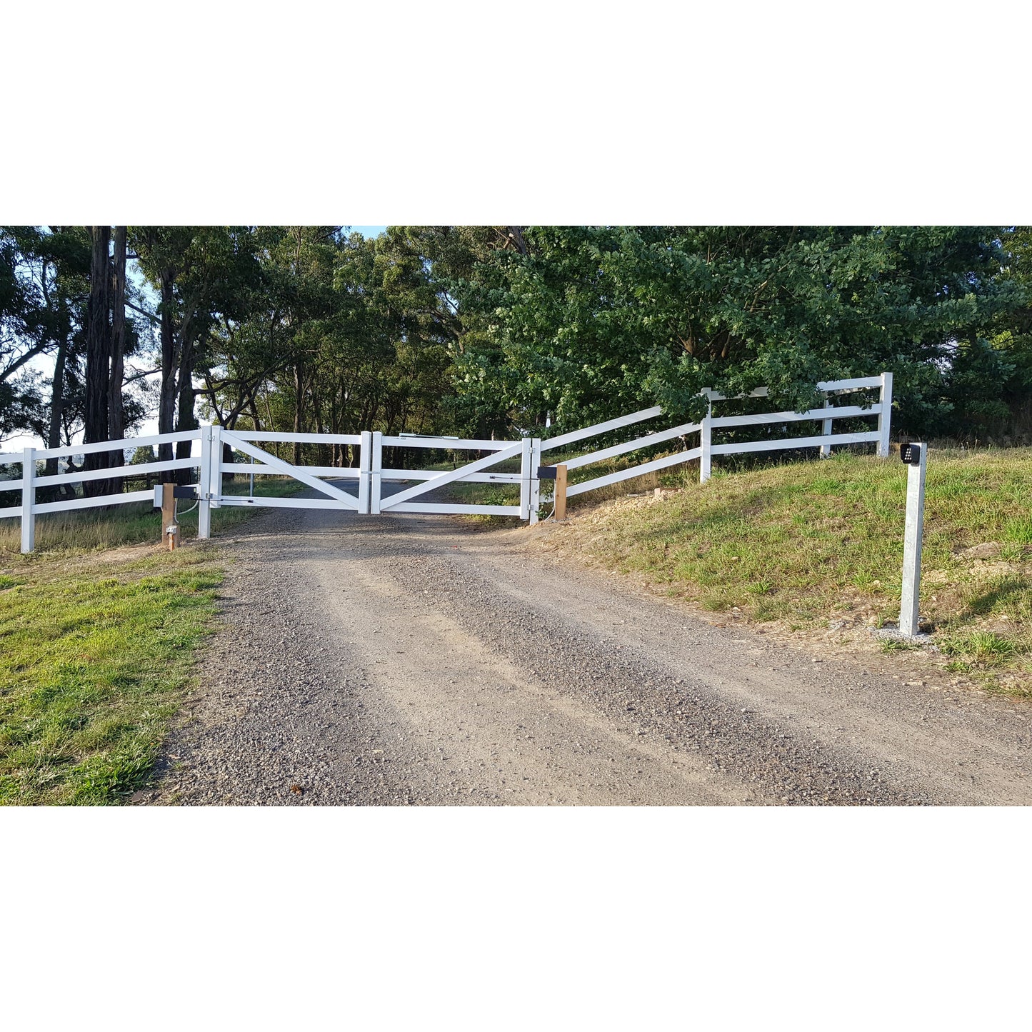 Double Swing Gate