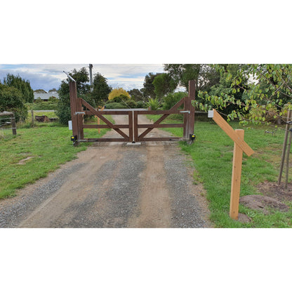 Double Swing Gate