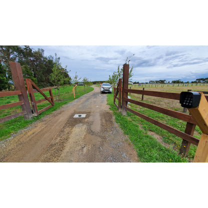 Double Swing Gate