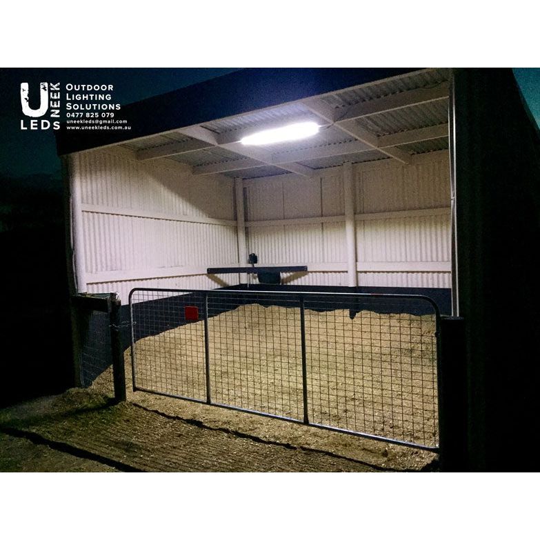 Loose Box / Wash Bay Lighting