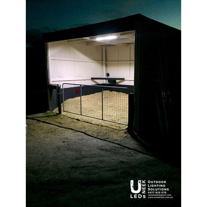 Loose Box / Wash Bay Lighting